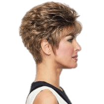 SPARKLE - Wig by Raquel Welch - VIP Extensions