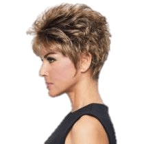 SPARKLE - Wig by Raquel Welch - VIP Extensions