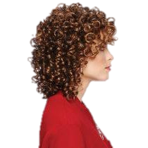 CURL APPEAL AVERAGE WIG By Gabor - VIP Extensions